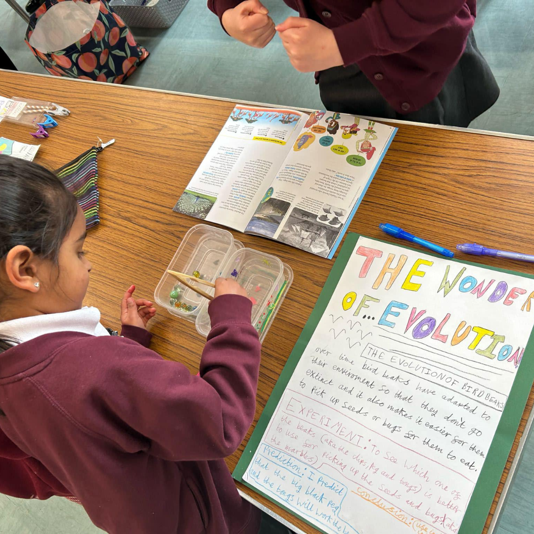 a child taking part in a science fair activity abour evolution