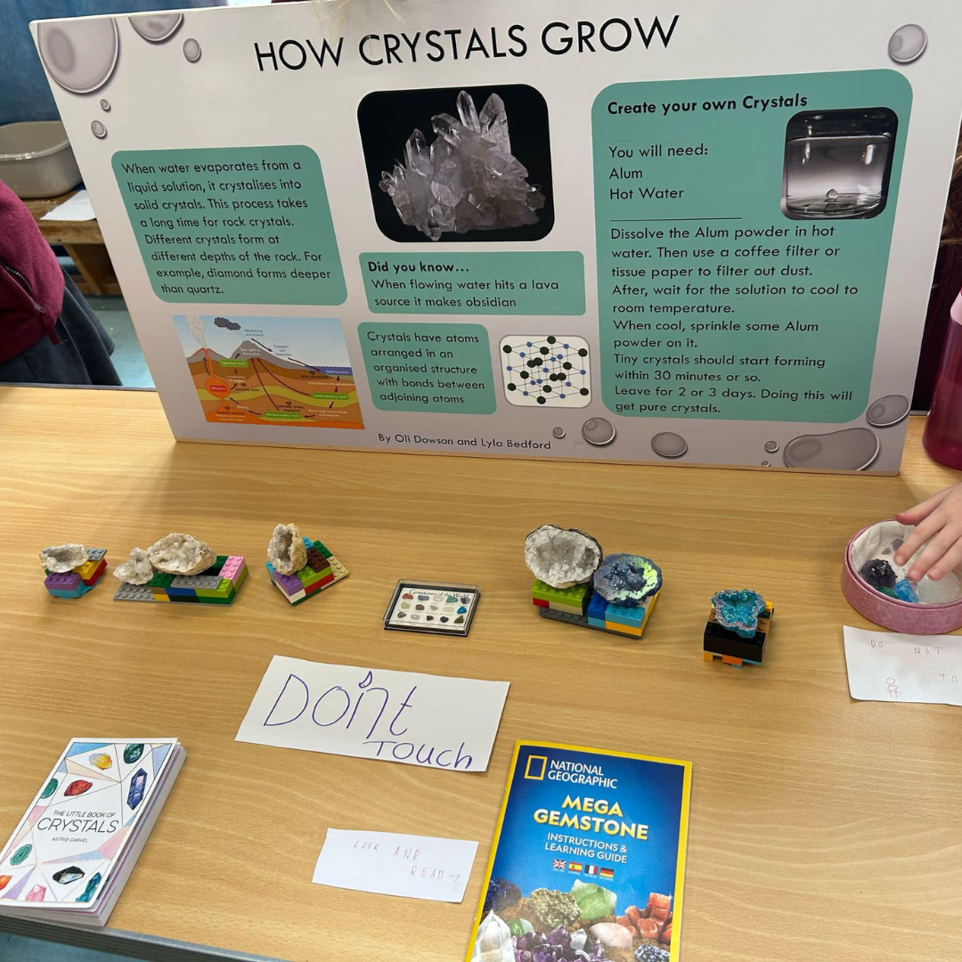 science experiment set up